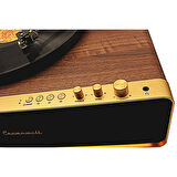 Pikap Vegas Plus Gold Led Panel Ahşap Plakçalar CW016