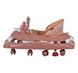Sunny Baby 9228 Kiddy Yürüteç Sallanır Müzikli Oyuncaklı Bebek Yürüteç Örümcek 