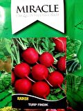 Miracle Fındık Turp Tohumu (10 gram)