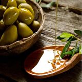 Sarı Ulak Zeytin Fidanı