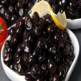 Gemlik Salamuralık Trilye Zeytin Fidanı