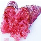 Meyve Verme Yaşında Tüplü Havyar Limon Mia Rose Finger Lime Fidanı