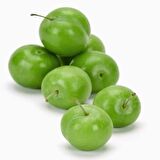 Tüplü Cherry Plum Nadir Mini Meyveli Kiraz Eriği Fidanı