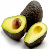 Tüplü Aşılı Has Black Avokado Fidanı