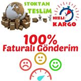 Tüplü Solanum Rantonetti Ağaç Maviş Fidanı