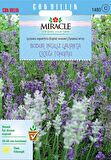 Miracle Munstead Strain Bodur İngiliz Lavanta Çiçeği Tohumu (95 tohum)