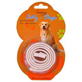 Green Pet Köpek Sağlık Tasması