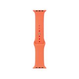 Watch 38mm Band Serisi Klasik Kordon Silikon Strap Kayış-Pawpaw