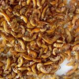 Rotifish Kurutulmuş Gammarus (Karides) 1 Kg
