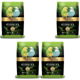 Gold Wings Premium Muhabbet Kuşu Yemi 1 Kg X 4 Adet