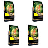 Gold Wings Premium Kanarya Yemi 1 Kg X 4 Adet