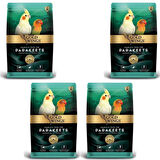 Gold Wings Premium Paraket Tropikal Kuş Yemi 1 Kg X 4 Adet
