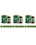 Nutraxin Milk Thistle 60 Tablet 3 Kutu
