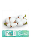 Prima Pampers  Islak Havlu Mendil Aqua Pure 48'li x 18 Adet