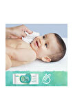 Prima Pampers  Islak Havlu Mendil Aqua Pure 48'li x 18 Adet