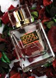 Alberto Taccini 50 ml Parfüm