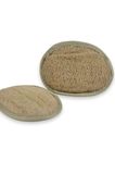 Dermolive Kabak Oval Pet