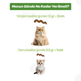 Vet's Plus Anti Hairball 100 gr Malt Kedi Macunu