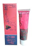 AllDay All Redberry Tavşan Hamster Multivitamin Paste 100gr