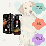 Köpekler için Premium Norveç Somon Yağı 100ml (Tüy Sağlığı ve Dökülme Karşıtı, İştah Açıcı)