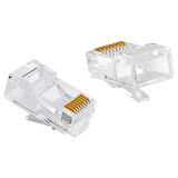 Powermaster RJ 45 Cat6 Soket 8P/8C 100 Adet Ethernet Soketi İnternet Jack