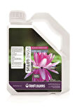 Reeflowers Pond Lotus All Inclusive 3000 ml