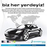 Divortex Klima Fresh - Temizleyici Klima Bombası Limon 2 x 150 ml
