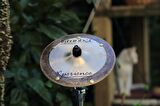 Xperience X-FX Mini Bell Splash 8 inch - XXFX-BL8 Splash
