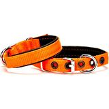 Doggie Softlu Köpek Boyun Tasması 1,5 cm x 30 cm Turuncu