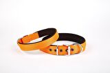 Doggie Softlu Köpek Boyun Tasması 3 cm x 55 cm Turuncu