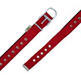 Doggie Çivi Desenli Köpek Tasması 3*55 cm Medium Kırmızı