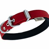Doggie Softlu Kemik Desenli Köpek Tasması 2 cm x 45 cm Kırmızı