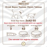 Doggie Reflektörlü Yavru Köpek Tasması 1,2 * 29 cm Mavi