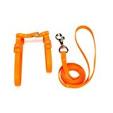 Doggie Kedi Göğüs Tasması 22/36 cm Turuncu