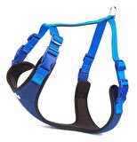 Doggie Softlu Siyah Köpek Bel Tasması 70/95 cm Mavi