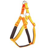Doggie Comfort Ronin Köpek Bel Tasması 3cm-75 x 85 cm 3X-Large Turuncu