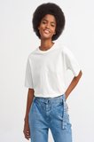 Basic Tshirt 