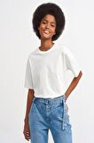 Basic Tshirt 
