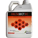 DELTA SECT EC KOKULU HAŞERE ÖLDÜRÜCÜ (5 LİTRE)