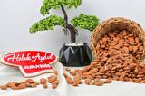 Tuzlu Badem İçi 1 KG