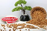 Çifte Kavrulmuş Sarı Leblebi 1 KG
