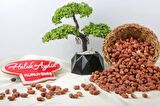 Tuzlu Fıstık İçi 500 G