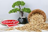 Kavrulmuş Nevşehir Tuzlu Kabak Çekirdeği 500 G