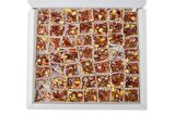 Ballı A.fıstıklı Lokum 930 Gr