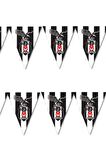BEŞİKTAŞ PEÇETE 16'LI