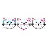 MİSS CAT KARTON MASKE 6'LI