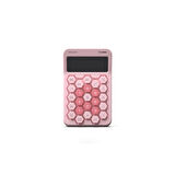 Truebo HoneyComb Pembe Renkli Hesap Makinesi