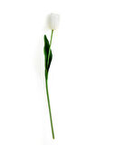 Tulip Garden Tek Dal Yapay Çiçek Beyaz