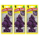 Little Trees 3'lü Midnight Chic Asma Oto Kokusu Gece Yarısı Fresh