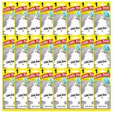 Little Trees Arctic White Ferahlığı Aromalı Oto Kokusu 24 Adet